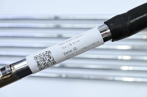 Titleist 704.CB Irons / 3-PW / Stiff Flex Dynamic Gold S300 Shafts