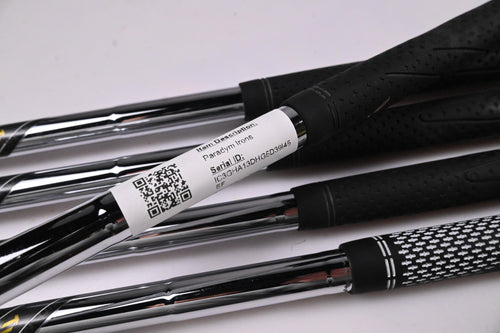 Callaway Paradym Irons / 6-PW / Regular Flex Dynamic Gold Mid 115 R300 Shafts