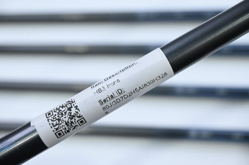 Cleveland HB3 Irons / 5-9 / Regular Flex Cleveland Action Ultralite 65 Shafts