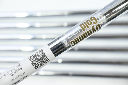 Taylormade P760 Irons / 4-PW / Stiff Flex Dynamic Gold 120 S300 Shafts
