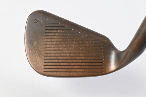Ping Eye 2 BeCu #9 Iron / Blue Dot / Stiff Flex Steel Shaft