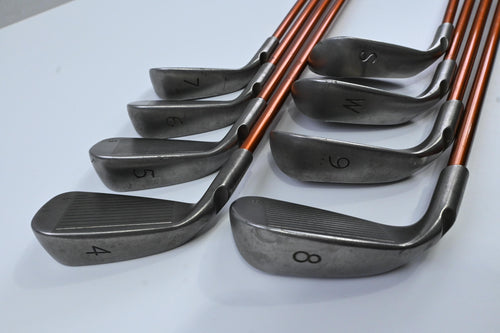 Ping G10 Irons / 4-PW+SW / Black Dot / Regular Flex Ping TFC 129 Shafts