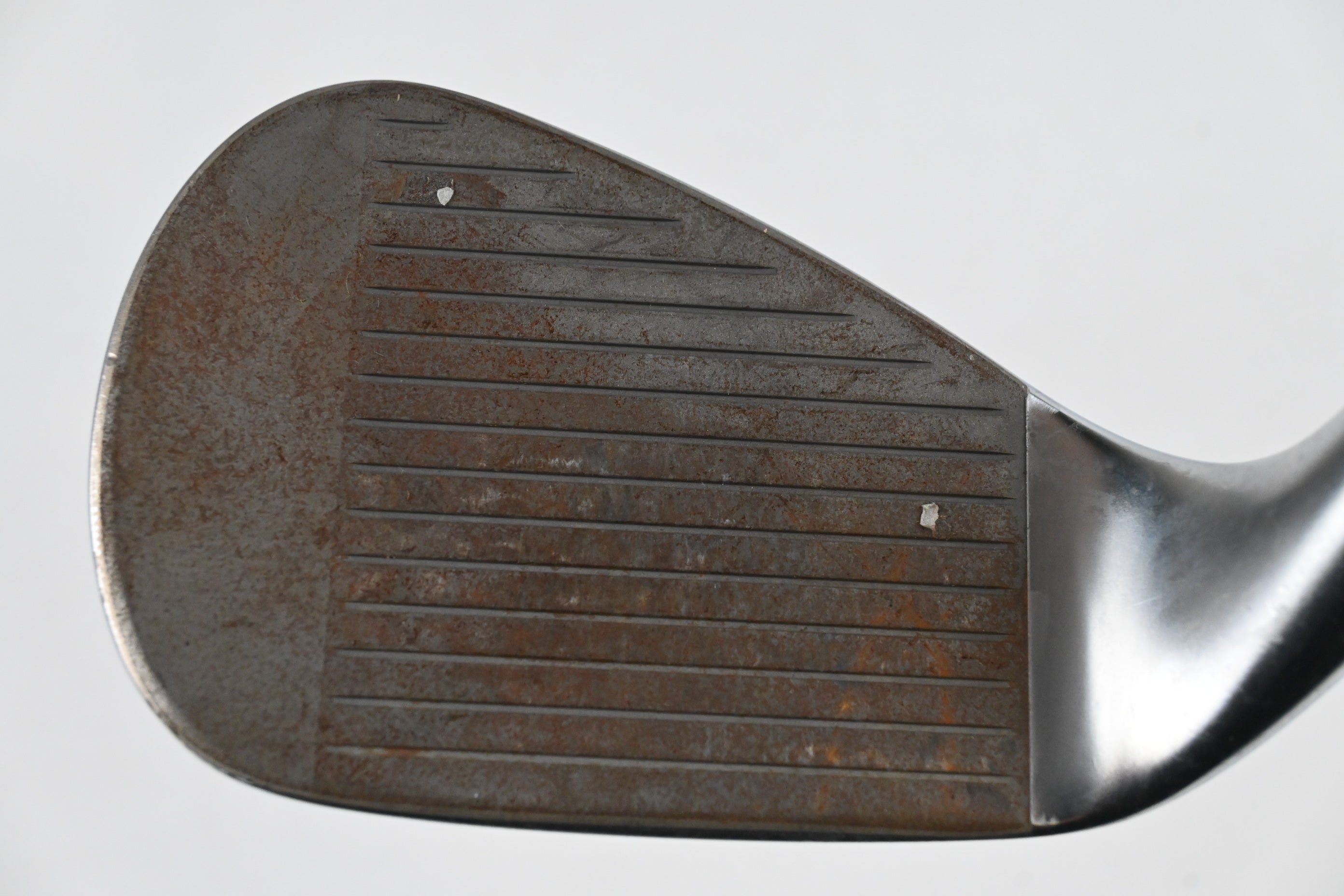 Callaway Jaws Raw Pitching Wedge / 48 Degree / Wedge Flex Dynamic Gold Spinner