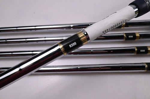 Mizuno JPX 800 Irons / 6-PW / Regular Flex Dynalite Gold XP R300 Shafts