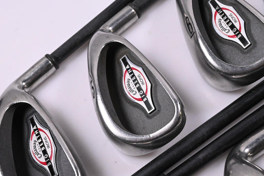 Callaway Big Bertha 2002 Irons / 4-PW+GW+SW / Regular Flex Callaway RCH 75