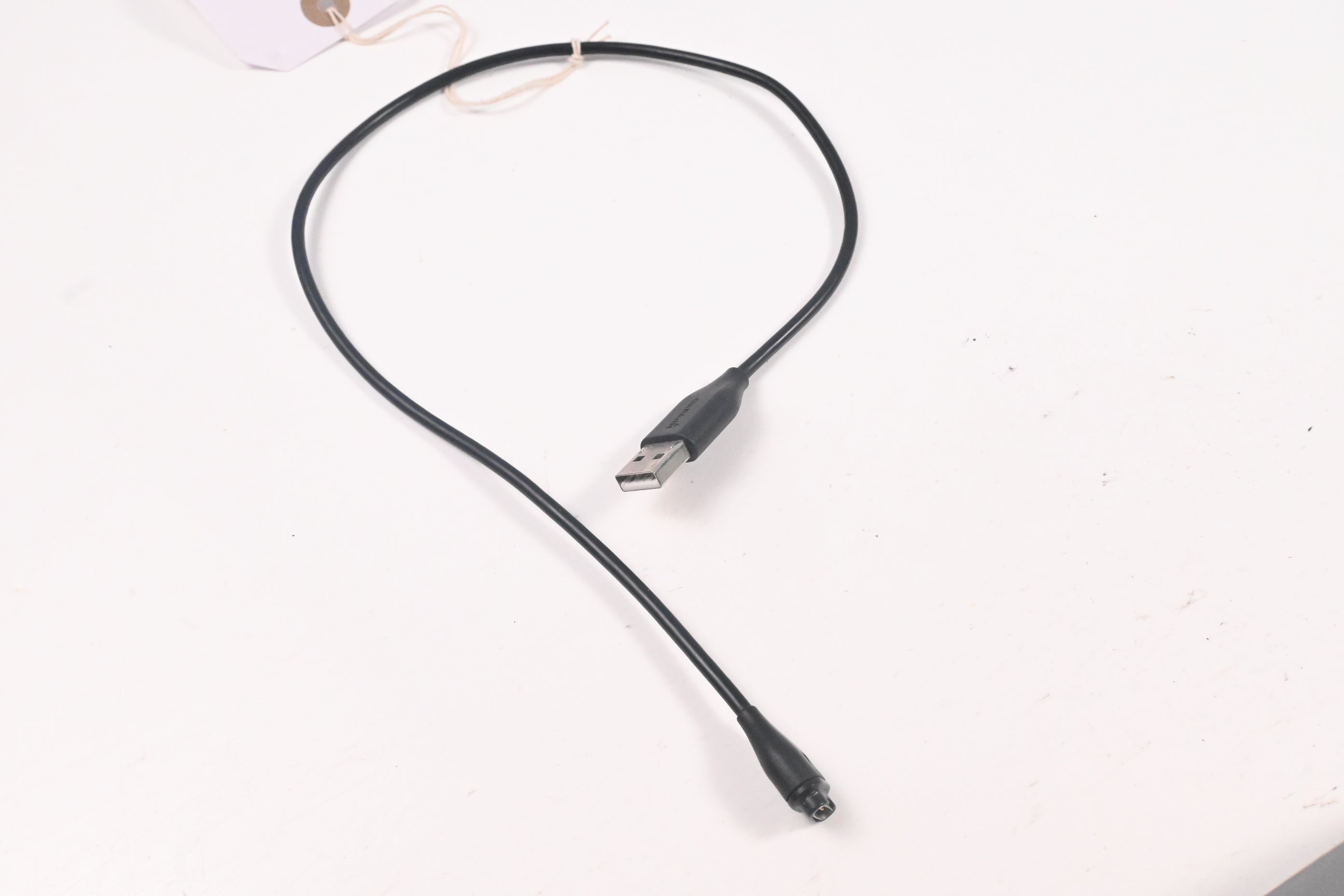 Garmin Approach S10 / GPS Watch