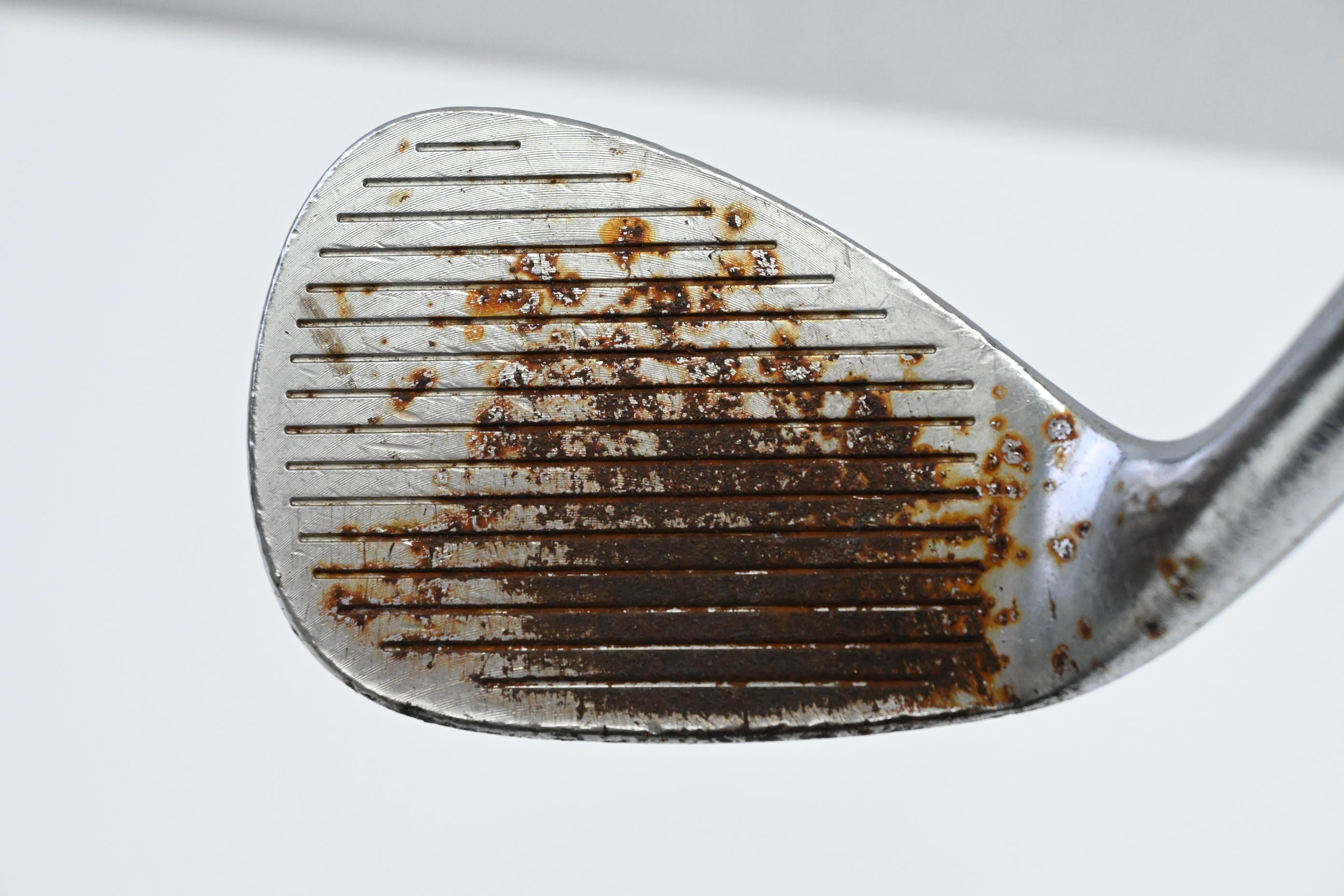 Cobra King Snakebite 2021 Sand Wedge / 56 Degree / Wedge Flex NS Pro Modus3