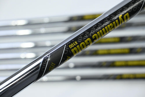 Ping Blueprint S Irons / 4-PW / Black Dot / X-Flex Dynamic Gold 115 X100 Shafts