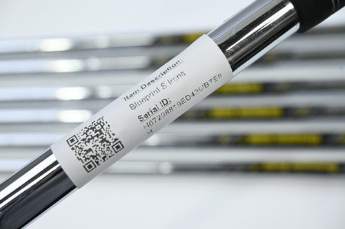 Ping Blueprint S Irons / 4-PW / Black Dot / X-Flex Dynamic Gold 115 X100 Shafts