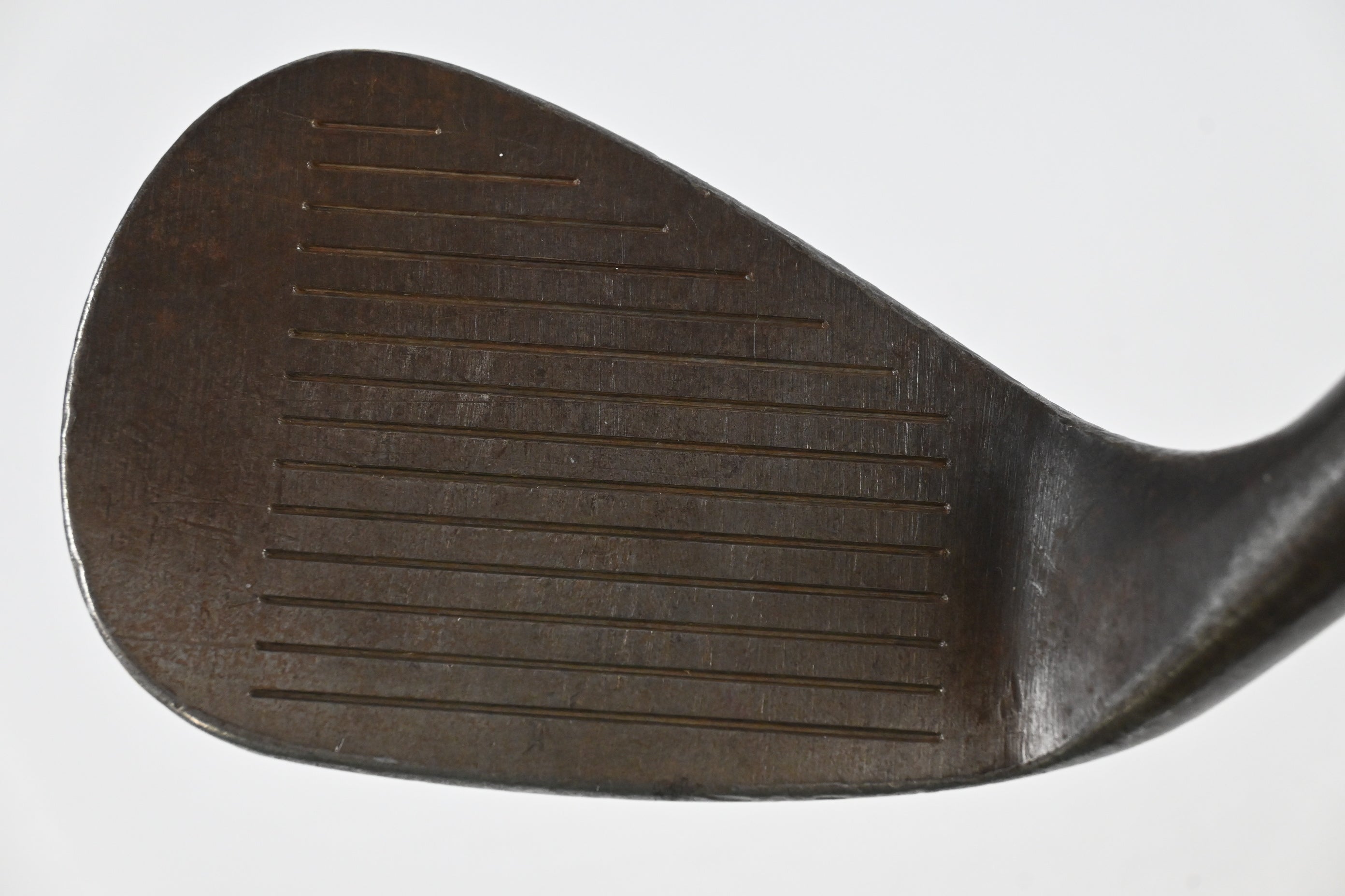 Vega RAFW-08 Sand Wedge / 54 Degree / Wedge Flex Steel Shaft
