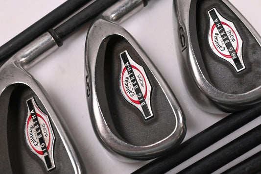 Callaway Big Bertha 2002 Irons / 3-10i+W / Regular Flex Callaway RCH 75i Shafts