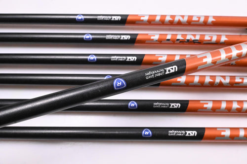 Nike Ignite Irons / 4-PW / Regular Flex Nike Shafts