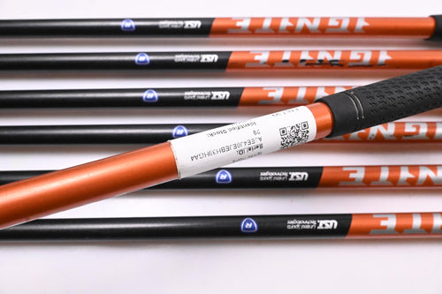 Nike Ignite Irons / 4-PW / Regular Flex Nike Shafts