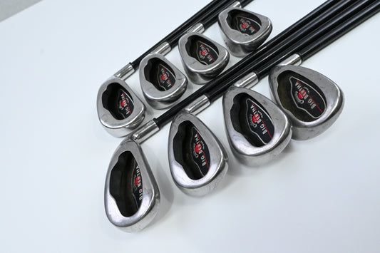 Callaway Big Bertha 2002 Irons / 3-PW / Regular Flex Callaway RCH 75 Shafts