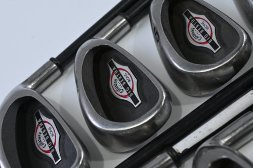 Callaway Big Bertha 2002 Irons / 3-PW+SW / Regular Flex RCH 75i