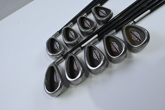 Callaway Big Bertha 2002 Irons / 3-PW+SW / Regular Flex RCH 75i
