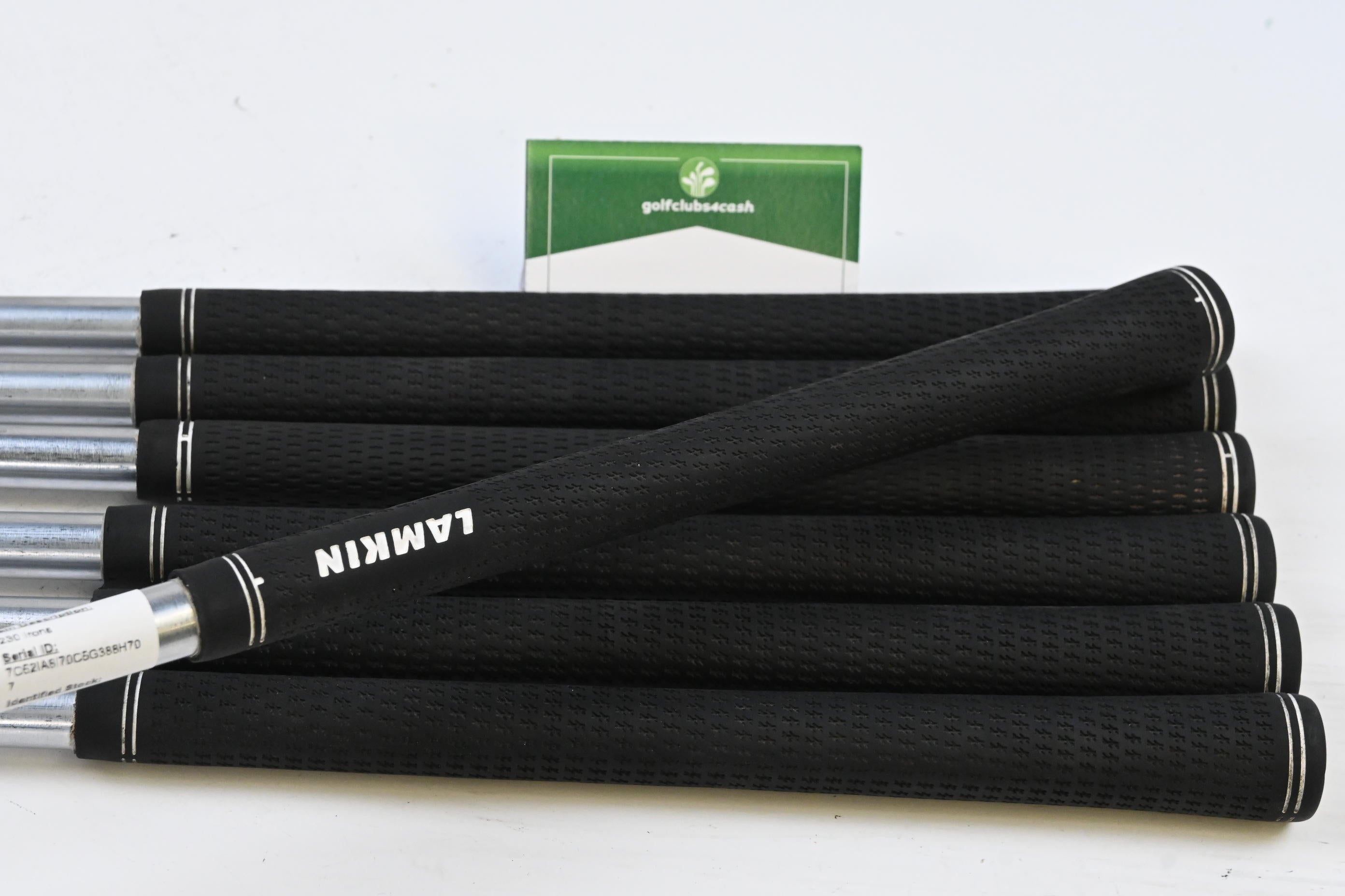 Ping i230 Irons / 4-PW / Blue Dot / X-Flex Project X LZ 125 Shafts