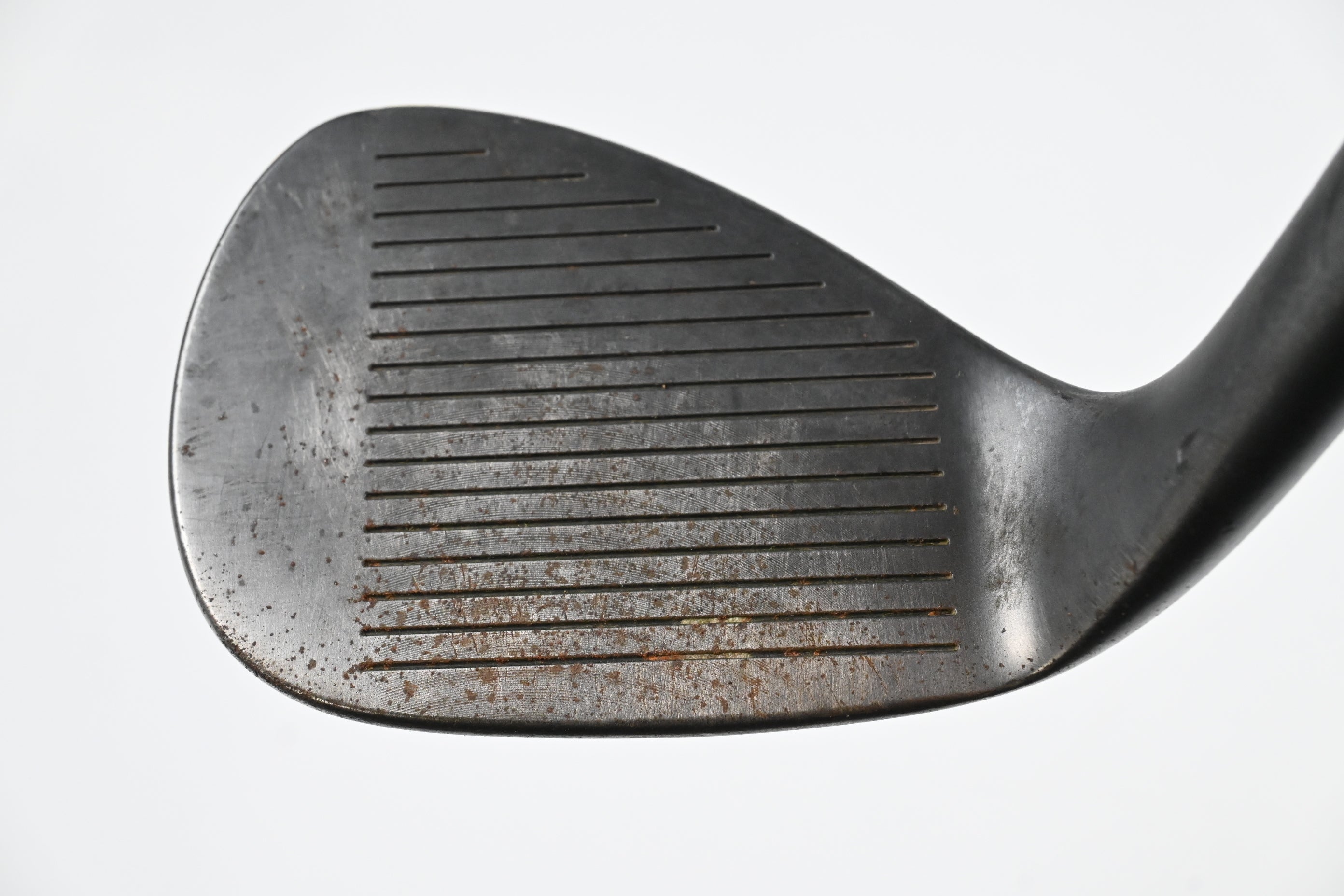 Cobra Snakebite 2023 Sand Wedge / 54 Degree / X-Flex N.S.Pro Modus 3 Tour 120