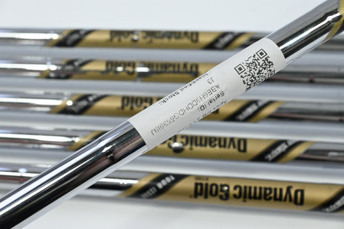Callaway Apex MB 21 Irons / 5-PW / X-Flex Dynamic Gold X100 Shafts