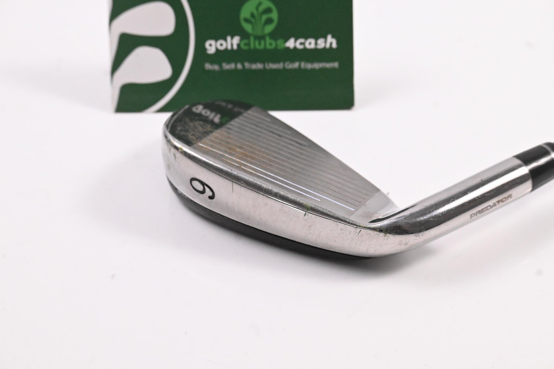 Lynx Predator #6 Iron / Regular Flex Lynx XLR8-100 Shaft