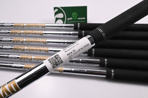 Ping Blueprint S Irons / 4-PW / Black Dot / X-Flex Dynamic Gold 120 X100 Shafts
